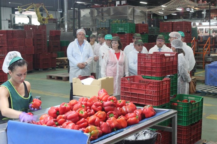 Cooperativa Camposol