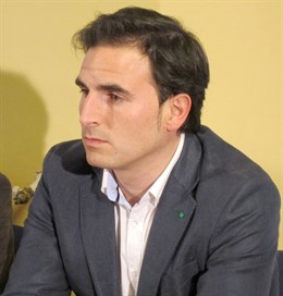 Guzmán Gómez Alonso