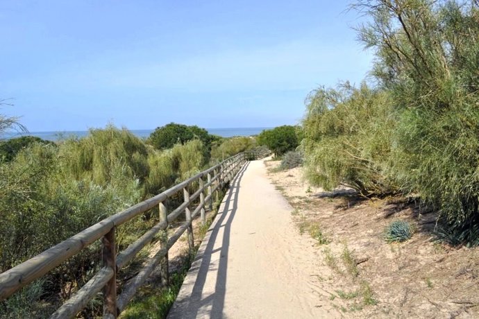 Paraje natural Enebrales de Punta Umbría.