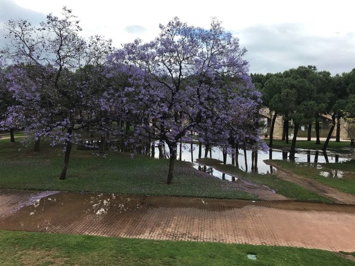 Inundación en el cauce del Turia en Valencia
