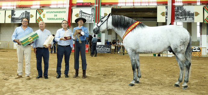 Campeón del Concurso 