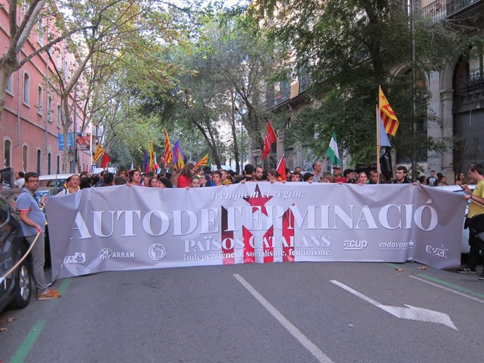 Manifestació anticapitalista celebrada durant la Diada  