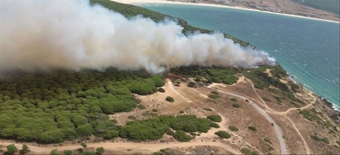 Incendio en Punta Camarinal en Tarifa