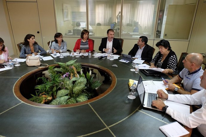Reunión del Consejo General de Empleo del Gobierno canario