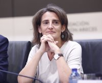 El Gobierno elaborará un plan de medidas "urgente" dirigido a comarcas mineras y a nucleares con riesgo de cierre