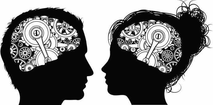 Cerebro, hombre y mujer