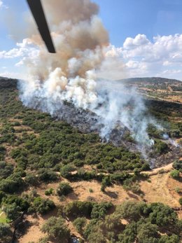 Incendio forestal en Jerez de los Caballeros