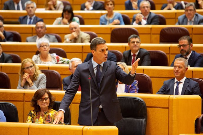 Pedro Sánchez en la sesión de control al Gobierno en el Senado