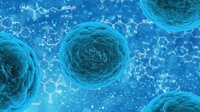 Estreptococo: la bacteria que está matando a menores en Argentina