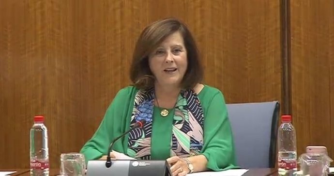María José Sánchez Rubio en comisión parlamentaria