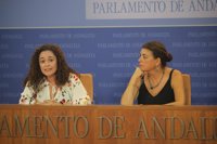 IULV-CA ve "ridículo" que el PSOE "más de derechas" apele al voto de sus militantes