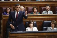 La plataforma de tesis doctorales TESEO no da acceso al trabajo completo de Pedro Sánchez