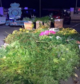 Desarticulada una organización dediicada al tráfico de drogas en Denia