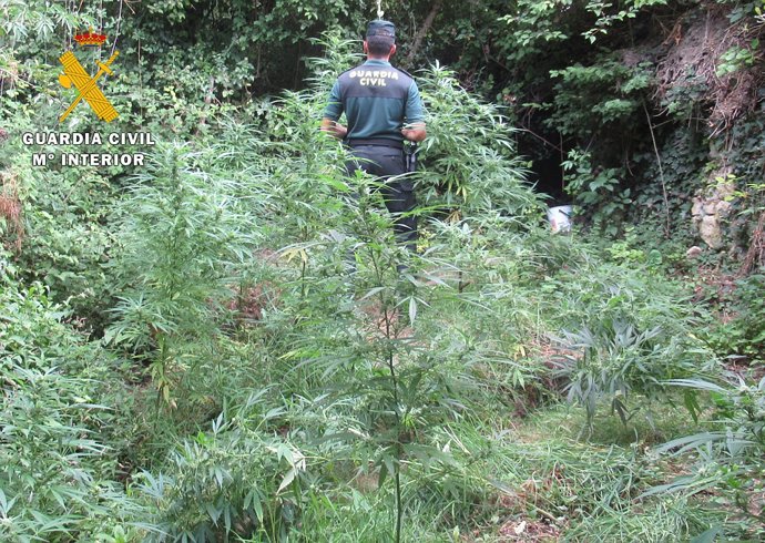 Nota De Prensa. Guardia Civil Burgos