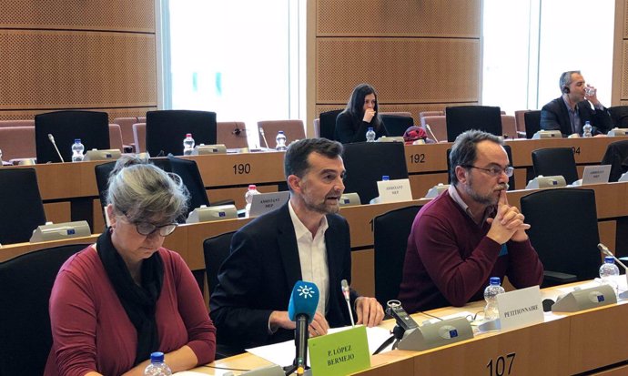 Antonio Maíllo interviene en el Parlamento Europeo por el gasoducto en Doñ