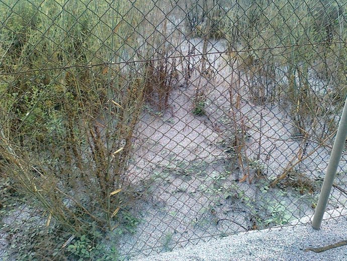 Paralizan una empresa que emitía partículas metálicas a la atmósfera