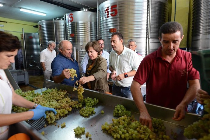 Visita a la Bodega Calvente, en Jete.