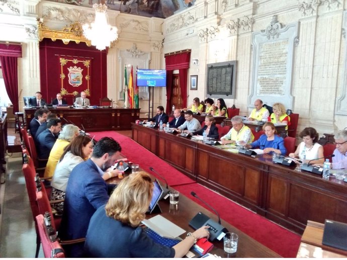 Pleno Ayuntamiento de Málaga junio
