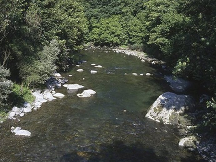 Río Garona