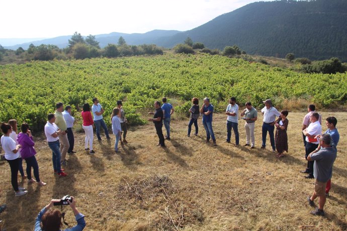 Jornada sobre sostenibilidad en el sector vitivinícola, en Liédena.