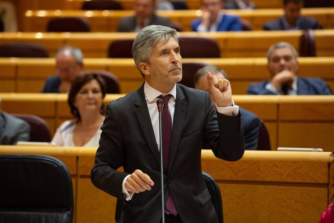 El ministro del Interior Fernando Grande- Marlaska en el Senado 