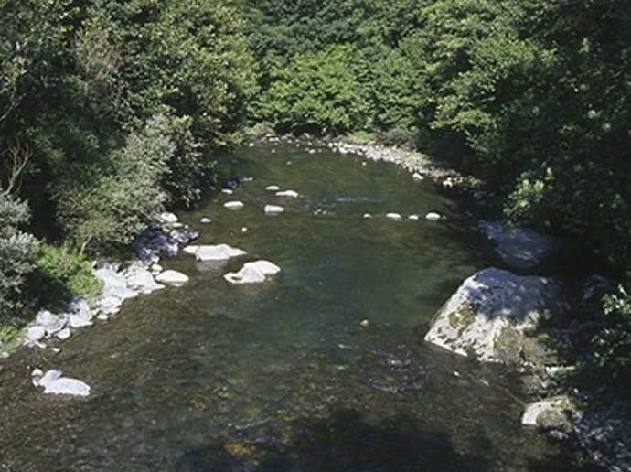 Riu Garona