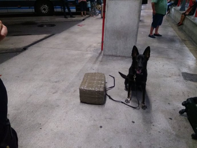 El agente de la Unidad Canina que halló la droga en la maleta