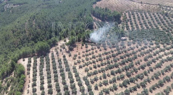Incendio forestal en Pozo Alcón (Jaén)