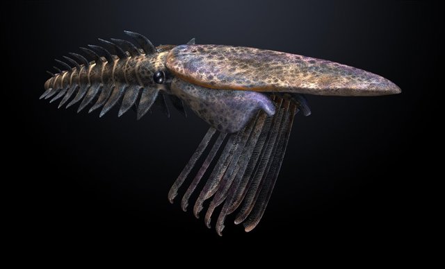 Reconstrucción artística de Pahvantia hastasta