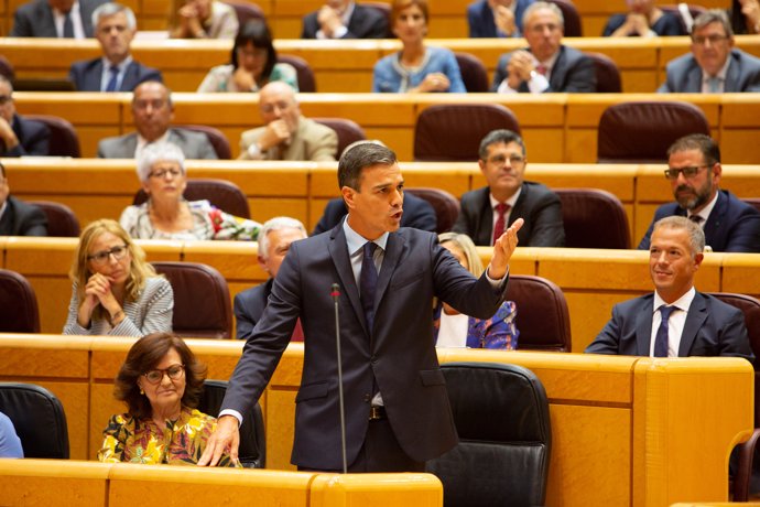 Pedro Sánchez en la sessió de control al Govern al Senat