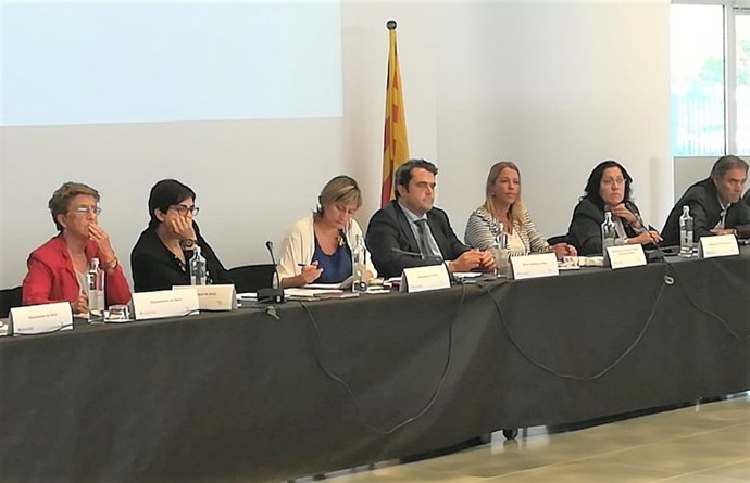 La consellera Alba Vergés en la reunió amb el sector sanitari