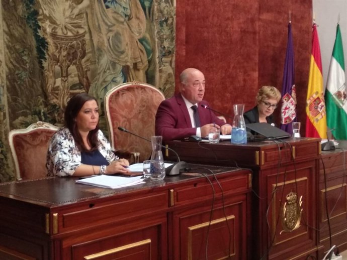 Antonio Ruiz preside el Pleno de la Diputación