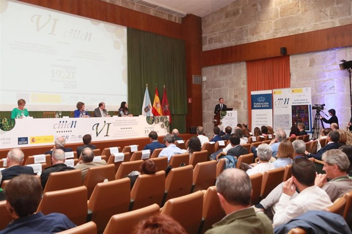 VI Congreso de Investigación e Innovación en Enfermedades Neurodegenerativas.