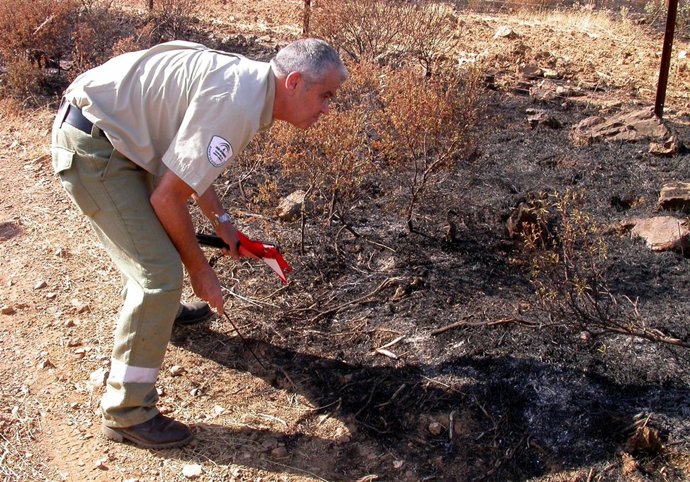 Agentes De Medio Ambiente Investigando Causas De Incendio