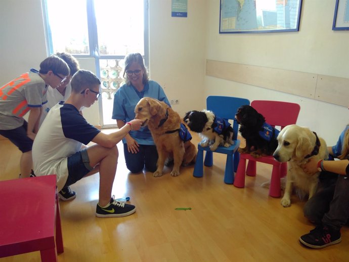 Terapia con perros de asistencia en niños con síndrome alcohólico fetal