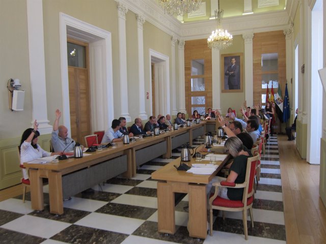 POSE, Ciudadanos y Cáceres Tú votan en el Pleno municipal                     