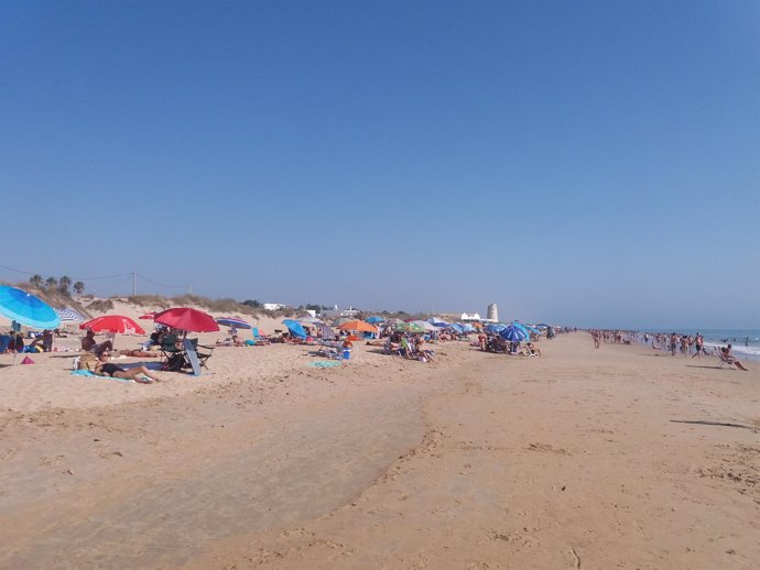 Playa de El Palmar, en Cádiz