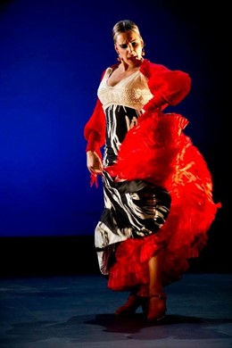 Un espectáculo con Luisa Palicio une el Año Murillo y la Bienal de Flamenco