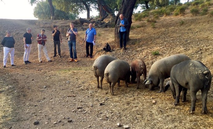 Periodistas alemanes realizan un viaje de prensa a Huelva