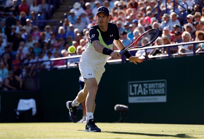 Andy Murray. tenista escocés