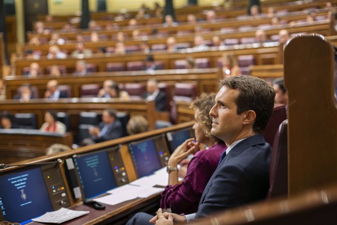 Pablo Casado, líder del PP, en sesión de control en el Congreso