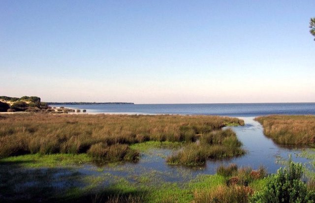 Espacio Natural de Doñana