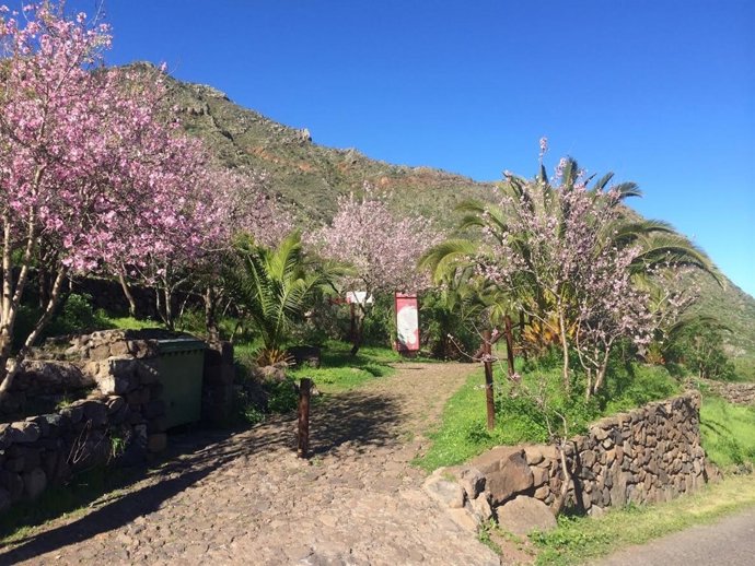 Sendero en Buenavista