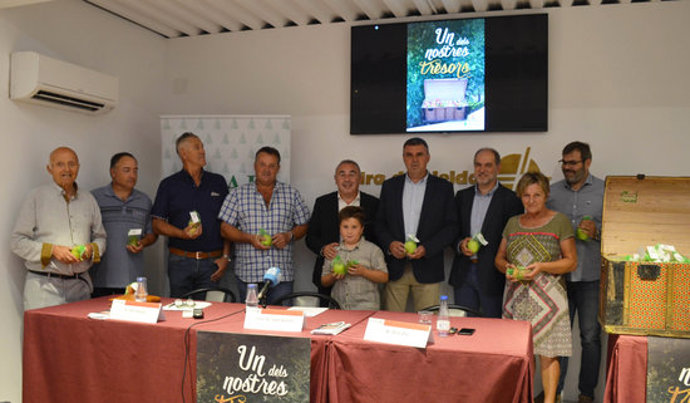 Agencia Catalana de Noticias