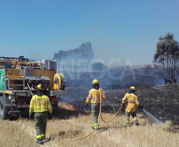 El Infoca interviene en un incendio agrícola en Almonte. 