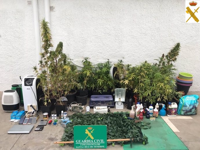 [Grupocanarias] La Guardia Civil Incuta 96 Plantas De Marihuana En Una Vivienda 