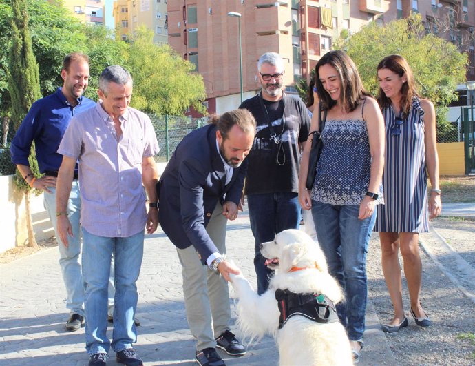 Juan Cassá le da la mano a un perro protección animal Ciudadanos Cs málaga