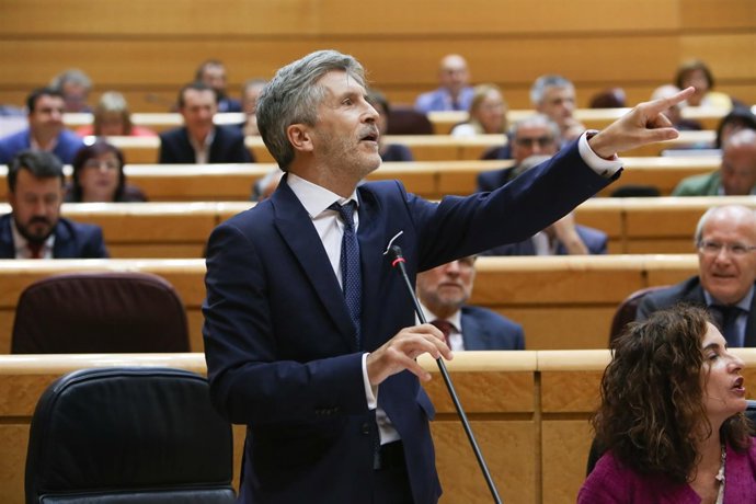El ministro del Interior Fernando Grande- Marlaska en el Senado
