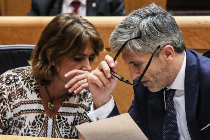 Fernando Grande- Marlaska y Dolores Delgado hablan en el Senado