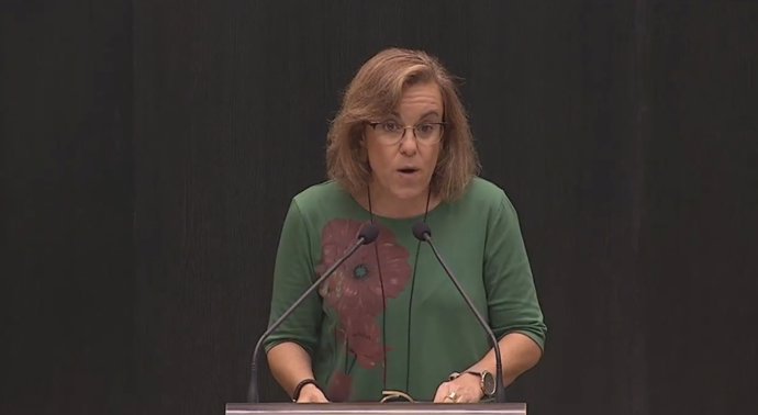 La portavoz del PSOE en el Ayuntamiento de Madrid, Purificación Causapié